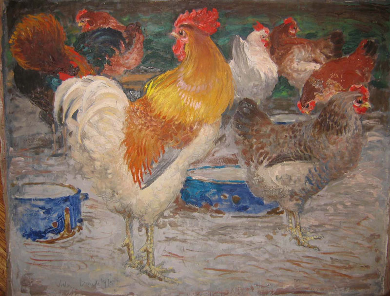Kury z kogutem 1965